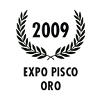 2009 2009