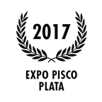 2017 2017